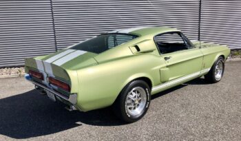 FORD MUSTANG Shelby GT500 voll